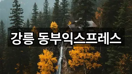 강릉 동부익스프레스