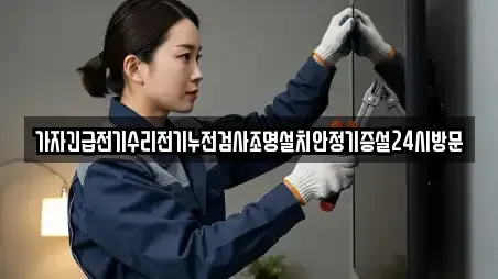 가자긴급전기수리전기누전검사조명설치안정기증설24시방문