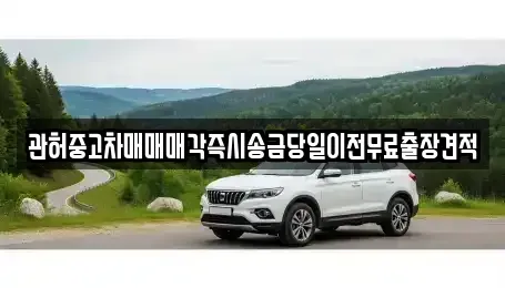 강원 강릉시 구정면 중고차,렌트카,중고차매입,중고차매매,장기렌트카,단기렌트카