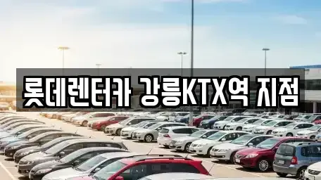 강원 강릉시 임당동 렌트카 전문 롯데렌터카 강릉KTX역 지점