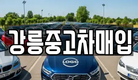 강원 강릉시 임당동 중고차 전문 강릉중고차매입