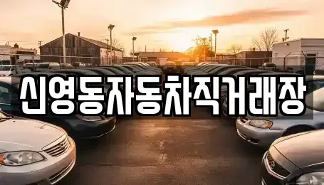 강원 강릉시 임당동 중고차 전문 신영동자동차직거래장