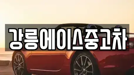 강원 강릉시 죽헌동 중고차 전문 강릉에이스중고차