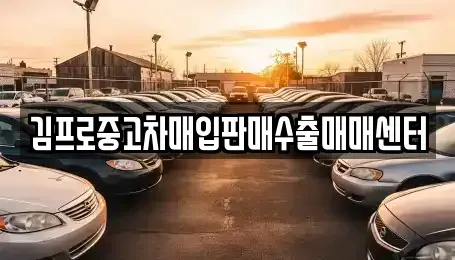 강원 동해시 망상동 중고차매매 전문 김프로중고차매입판매수출매매센터