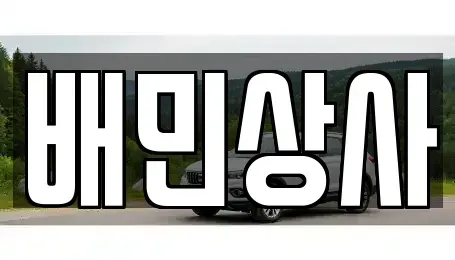 강원 동해시 부곡동 중고차매매 전문 배민상사