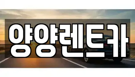 강원 렌트카,단기렌트카,장기렌트카,중고차,중고차매매,중고차매입