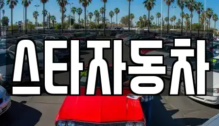 강원특별자치도 삼척시 중고차 전문 스타자동차