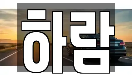 강원특별자치도 원주시 학성동 장기렌트카 전문 하람