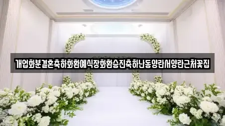 개업화분결혼축하화환예식장화환승진축하난동양란서양란근처꽃집