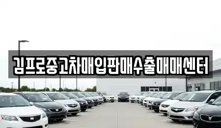 경기 광주시 경안동 중고차매입 전문 김프로중고차매입판매수출매매센터