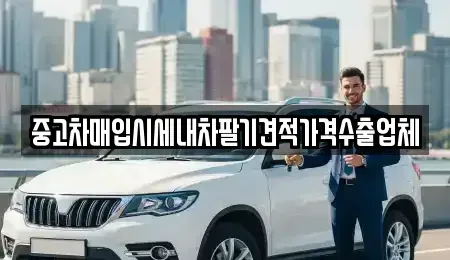 경기 광주시 경안동 중고차매입 전문 중고차매입시세내차팔기견적가격수출업체