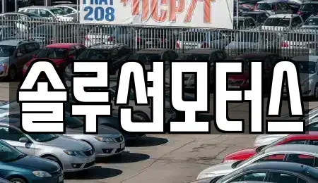 경기 성남시 수정구 복정동 단기렌트카 전문 솔루션모터스