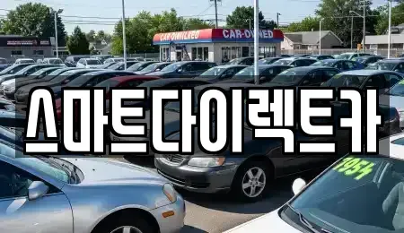 경기 성남시 수정구 복정동 장기렌트카 전문 스마트다이렉트카