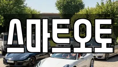 경기 성남시 수정구 복정동 장기렌트카 전문 스마트오토