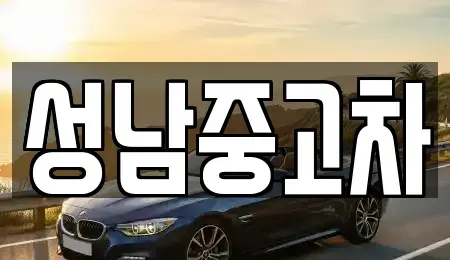 경기 성남시 수정구 복정동 중고차 전문 성남중고차