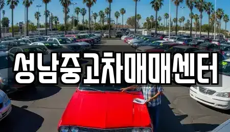 경기 성남시 수정구 복정동 중고차 전문 성남중고차매매센터
