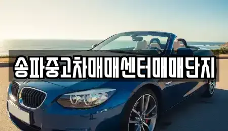 경기 성남시 수정구 복정동 중고차 전문 송파중고차매매센터매매단지