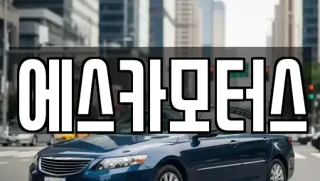 경기 성남시 수정구 복정동 중고차 전문 에스카모터스