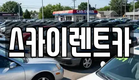 경기 수원시 장안구 이목동 장기렌트카 전문 스카이렌트카