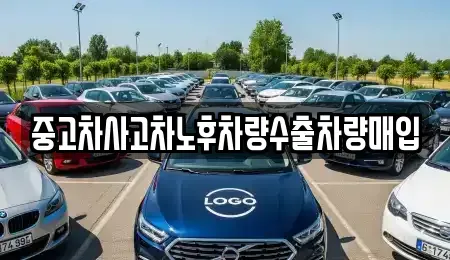 경기 수원시 팔달구 매교동 중고차 전문 중고차사고차노후차량수출차량매입