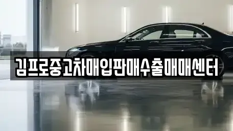 경기 수원시 팔달구 매교동 중고차매매 전문 김프로중고차매입판매수출매매센터