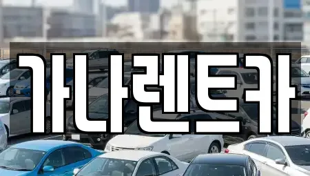 경기 안성시 아양동 렌트카 전문 가나렌트카