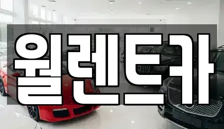 경기 안성시 아양동 렌트카 전문 월렌트카