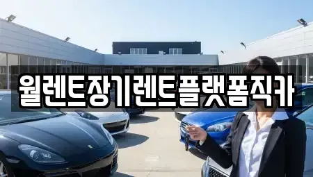 경기 안성시 아양동 장기렌트카 전문 월렌트장기렌트플랫폼직카