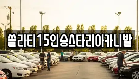 경기 양평군 강상면 렌트카 전문 쏠라티15인승스타리아카니발