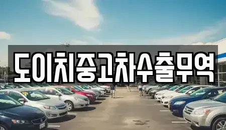 경기 양평군 강상면 중고차 전문 도이치중고차수출무역