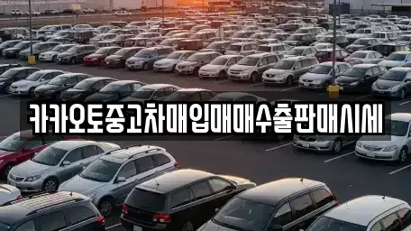 경기 양평군 서종면 중고차 전문 카카오토중고차매입매매수출판매시세