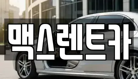 경기 용인시 기흥구 언남동 렌트카 전문 맥스렌트카