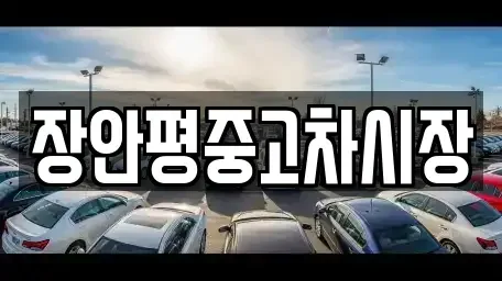 경기 용인시 기흥구 언남동 중고차 전문 장안평중고차시장