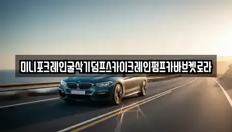 경기 용인시 기흥구 언남동 중고차매입 전문 미니포크레인굴삭기덤프스카이크레인펌프카바브켓로라