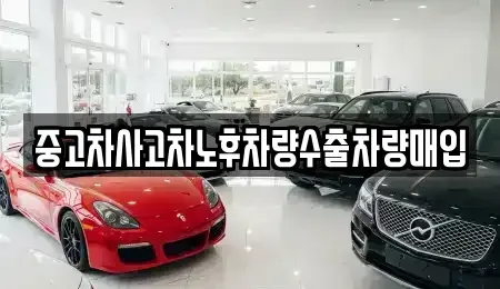 경기 용인시 기흥구 언남동 중고차매입 전문 중고차사고차노후차량수출차량매입