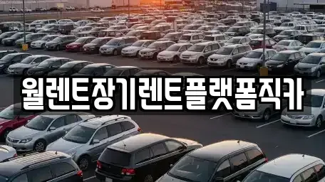 경기 의정부시 용현동 장기렌트카 전문 월렌트장기렌트플랫폼직카