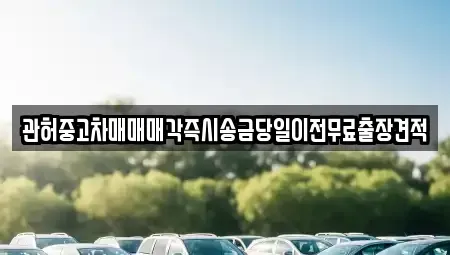 경기 포천시 자작동 중고차 전문 관허중고차매매매각즉시송금당일이전무료출장견적