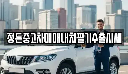 경기 포천시 자작동 중고차 전문 정든중고차매매내차팔기수출시세