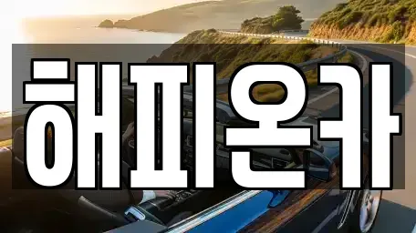 경기 화성시 송동 중고차 전문 해피온카