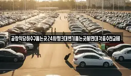 경기 화성시 송동 중고차매입 전문 공장식당하수구뚫는곳24시씽크대변기뚫는곳세면대각종수전교체