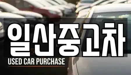 경기도 고양시 덕양구 행주내동 중고차 전문 일산중고차