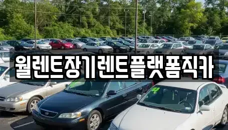 경기도 남양주시 수동면 렌트카 전문 월렌트장기렌트플랫폼직카