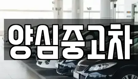 경기도 남양주시 수동면 중고차 전문 양심중고차