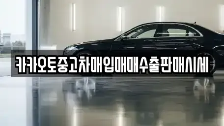 경기도 시흥시 장곡동 중고차 전문 카카오토중고차매입매매수출판매시세