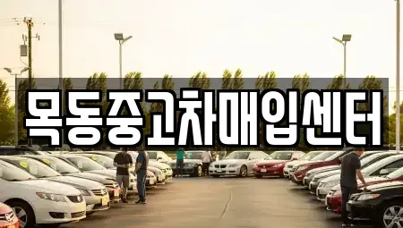 경기도 시흥시 장곡동 중고차매입 전문 목동중고차매입센터