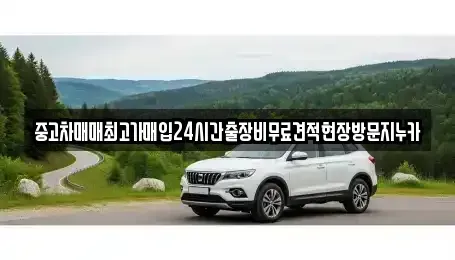 경기도 안산시 상록구 월피동 중고차매매,단기렌트카,중고차매입,장기렌트카,중고차,렌트카