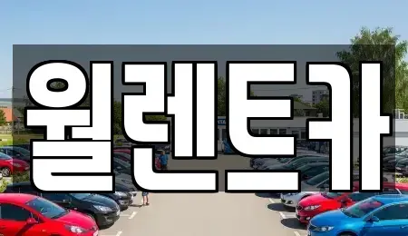 경기도 안성시 죽산면 렌트카 전문 월렌트카