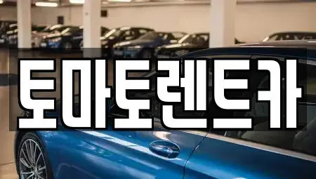 경기도 양주시 광사동 렌트카 전문 토마토렌트카