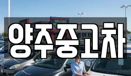 경기도 양주시 광사동 중고차 전문 양주중고차