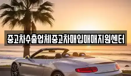 경기도 양주시 광사동 중고차매입 전문 중고차수출업체중고차매입매매지원센터